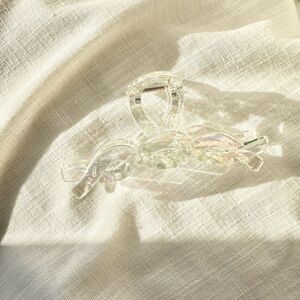 Iridescent braided twist hair claw ￼